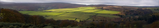 An extra-wide view of beautiful green Yorkshire fields, surrounded by many coloured fields and autumn trees 