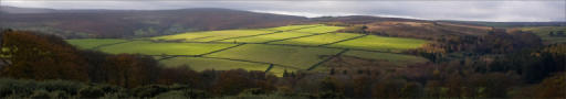 Yorkshire Counrtyside An extra-wide view of beautiful green Yorkshire fields, surrounded by many coloured fields and autumn trees